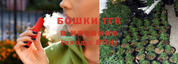 винт Пересвет