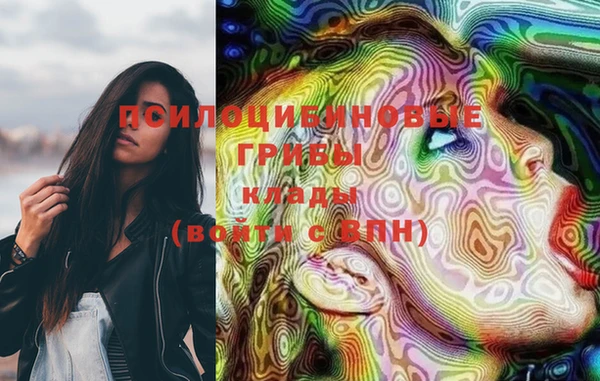 PSILOCYBIN Абинск