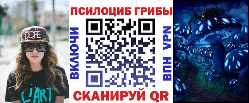 Галлюциногенные грибы прущие грибы  даркнет наркотические препараты  Сальск  ОМГ ОМГ как войти 